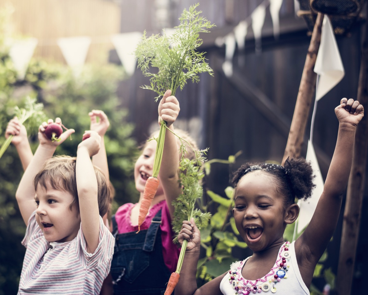 Niños con vegetales de la torre Ponica